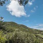 Teno Alto Buenavista Del Norte
