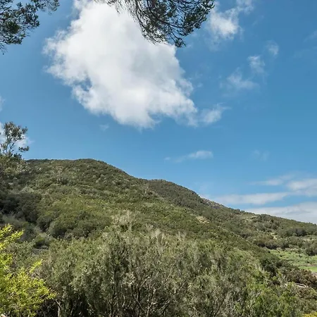 Teno Alto Buenavista Del Norte