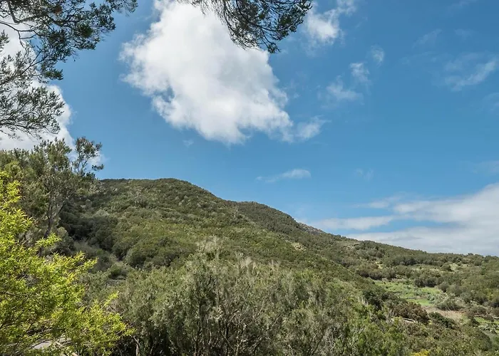 Teno Alto Buenavista Del Norte